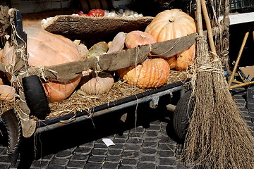 Image showing Pumpkins in a cart