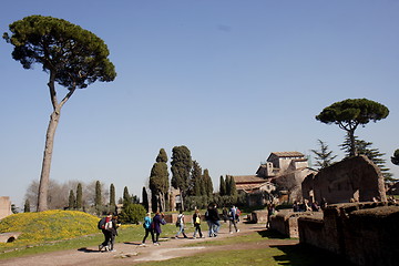 Image showing Palatine Hill