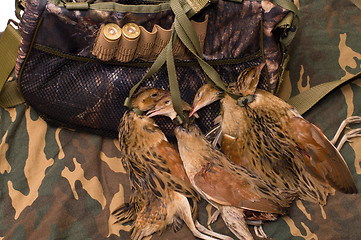 Image showing Fowling bag and bird.