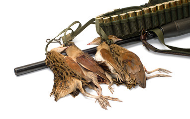 Image showing Game birds.