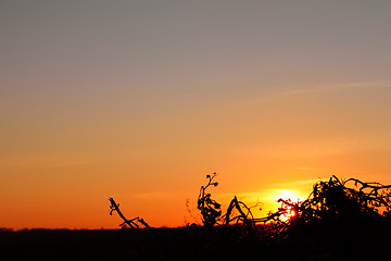 Image showing Colored glow in the sky at sunset