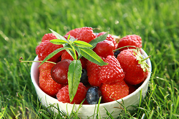 Image showing Fresh fruits