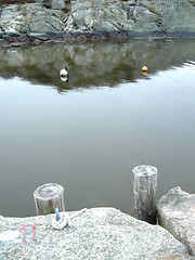 Image showing buoys