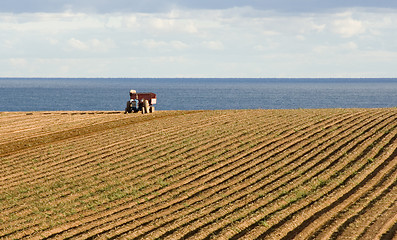Image showing Tractor in a field
