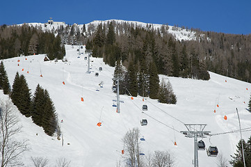 Image showing Skiing