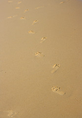 Image showing Feet on sand