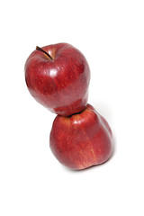 Image showing Two apples