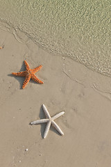 Image showing Couple of starfish on a tropical beach, tide coming in