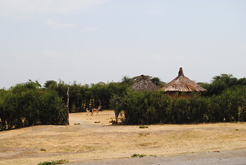 Image showing hut in ethiopian landscape