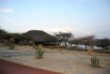 Image showing Sabana Ethiopia