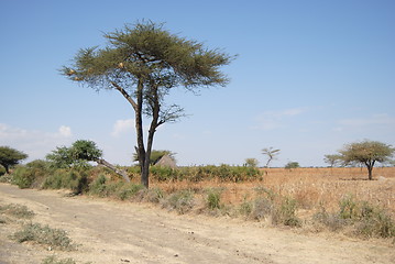 Image showing Ethiopian nature