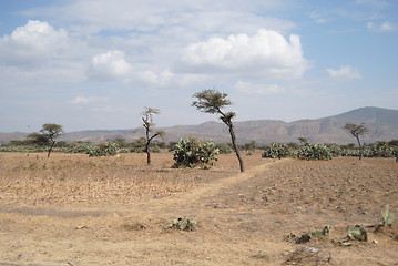 Image showing ethiopian landscape