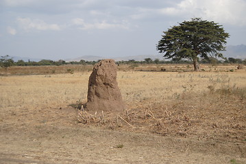 Image showing termite mound Ethiopia