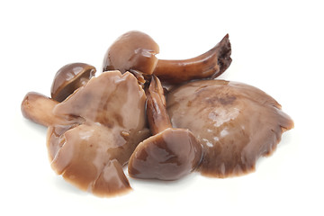 Image showing Mushrooms marinaded isolated on white background 