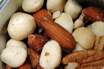 Image showing macadamia