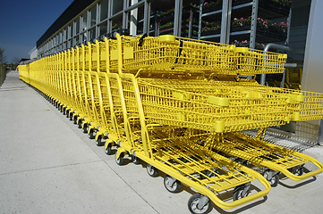 Image showing Shopping Carts