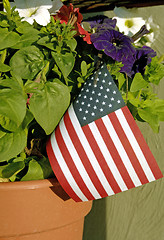 Image showing A pot of red, white, and blue flowers with an American flag is ready for sale at a nursery. (12MP camera, macro)