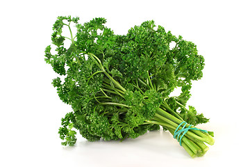 Image showing Parsley