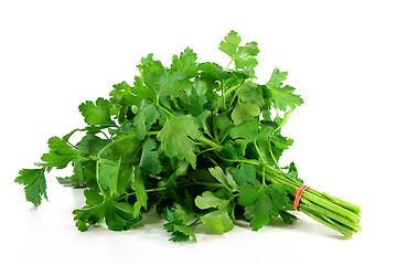 Image showing Parsley