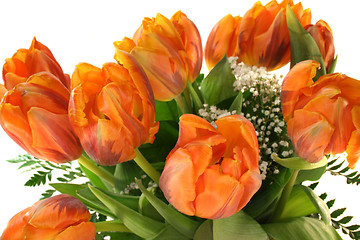 Image showing tulips bouquet