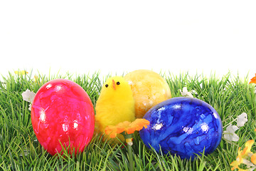 Image showing Easter eggs and chicks on a meadow