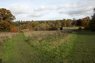 Image showing Autumn park