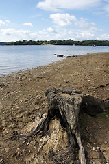 Image showing Lake 