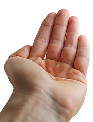 Image showing Open Hand Palm
