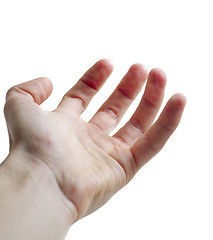 Image showing Open Hand Palm