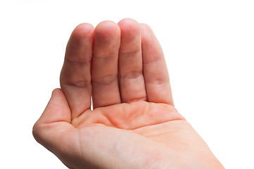 Image showing Open Hand Palm