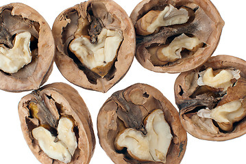 Image showing Walnuts close-up