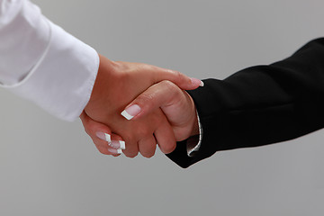 Image showing Feminine handshake