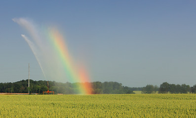 Image showing Agricultural rainbow