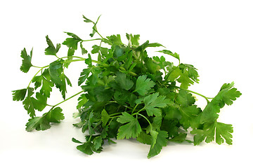 Image showing Parsley