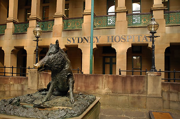 Image showing Sydney hospital