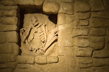 Image showing skeleton