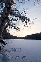 Image showing Winter