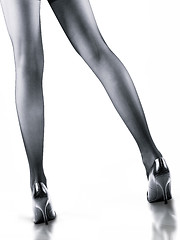 Image showing girl long legs