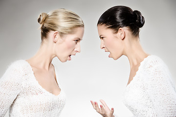 Image showing women arguing