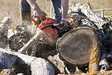 Image showing Man cutting wood with a chainsaw