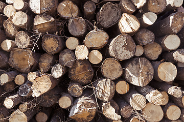 Image showing stack of logs