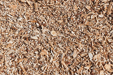 Image showing Wood chip background 