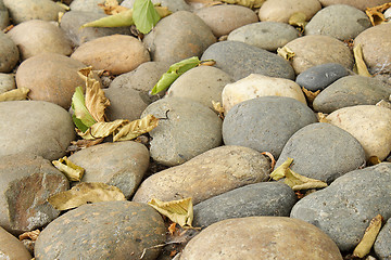 Image showing Pebbles