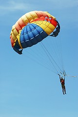 Image showing Parasailing