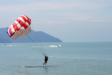 Image showing Parasailing