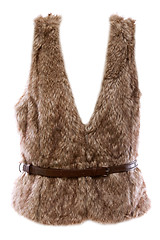 Image showing fur vest