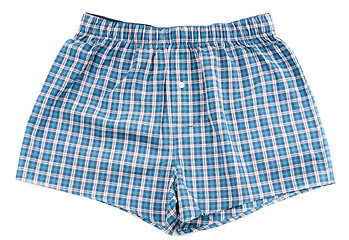 Image showing Men's plaid shorts