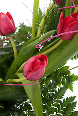 Image showing Bouquet of beautiful red tulips