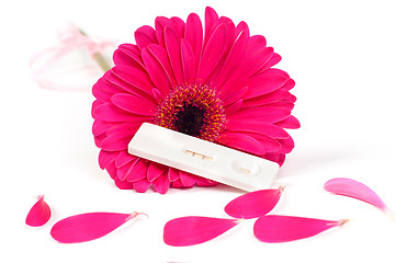 Image showing Positive pregnancy test and gerbera