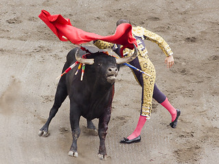 Image showing bull and bullfighter